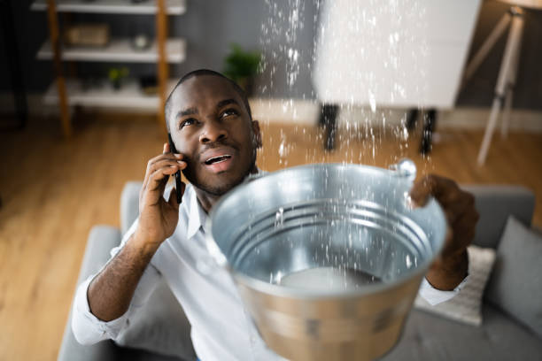 Best Mold removal after water damage  in Laureldale, PA