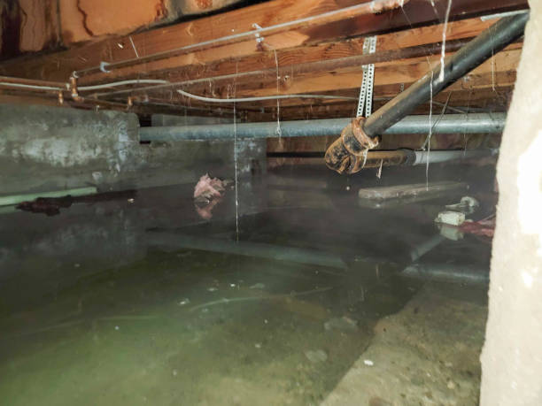 Best 24/7 water damage repair  in Laureldale, PA