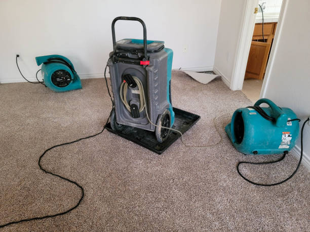 Trusted Laureldale, PA Water damage restoration Experts