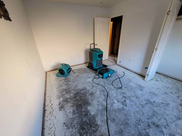 Best 24/7 water damage repair  in Laureldale, PA