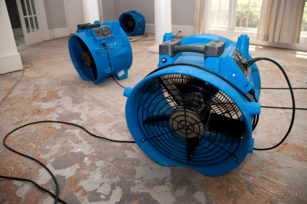 Best Flooded house restoration  in Laureldale, PA