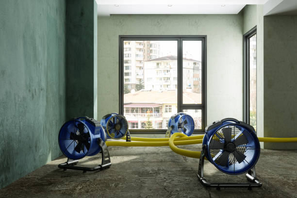 Best Ceiling water damage repair  in Laureldale, PA